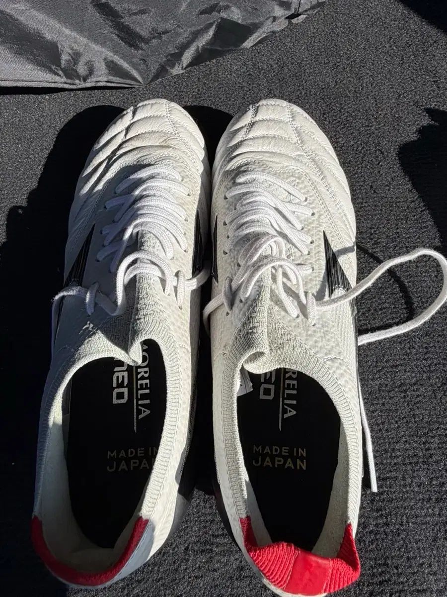 mizuno モレリア NEO4 ジャパン 255 MD