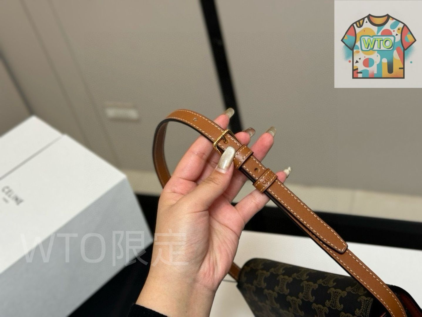 Celine アンダーアームバッグ トリオンフデザイン ボックス付き セリーヌ レディースバッグ WTO通販 WTO輸入 PFD 76 きちんと感 ベーシックカラー