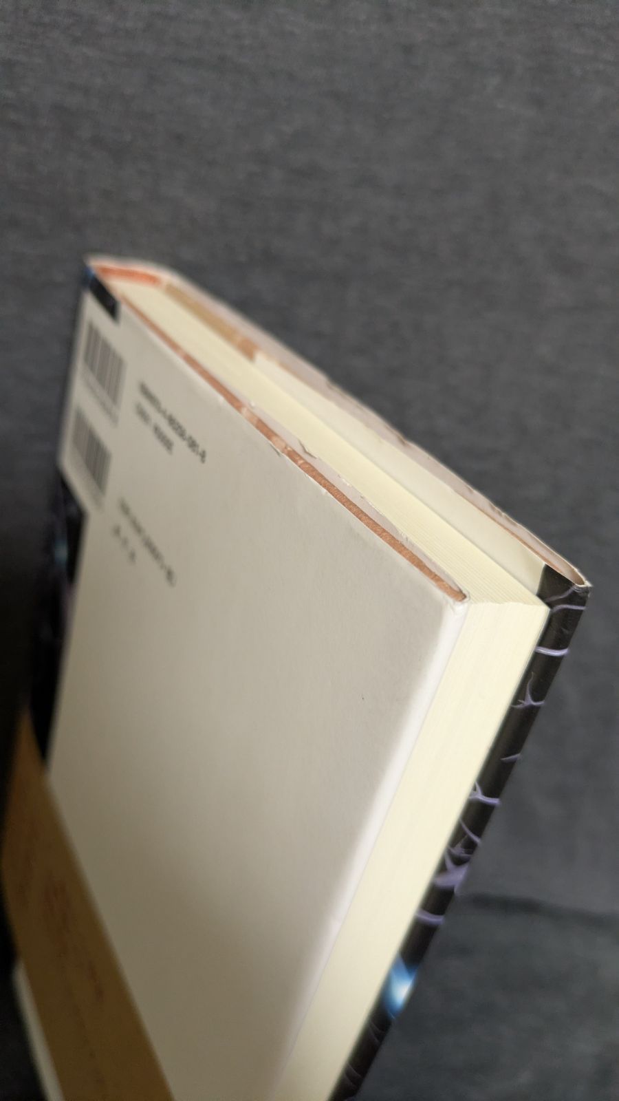 純粋政治理論 ソキエタス叢書4 ジュブネル 中金聡 関口佐紀訳 風行社