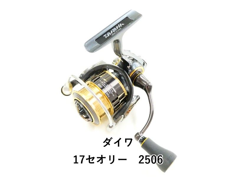 ダイワ 17セオリー 2506 03