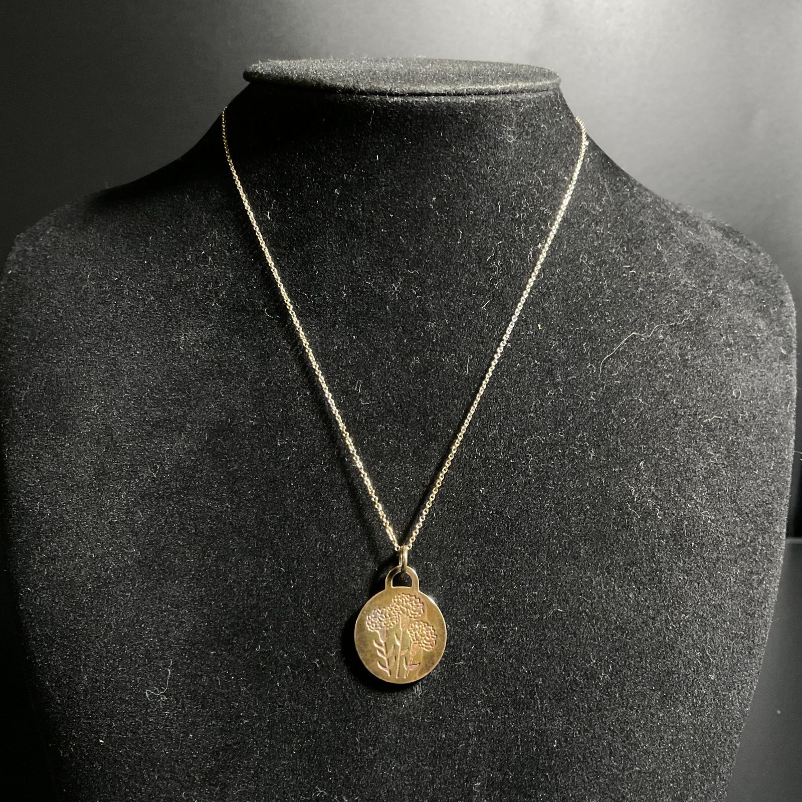 ティファニー ネックレス go women 2025