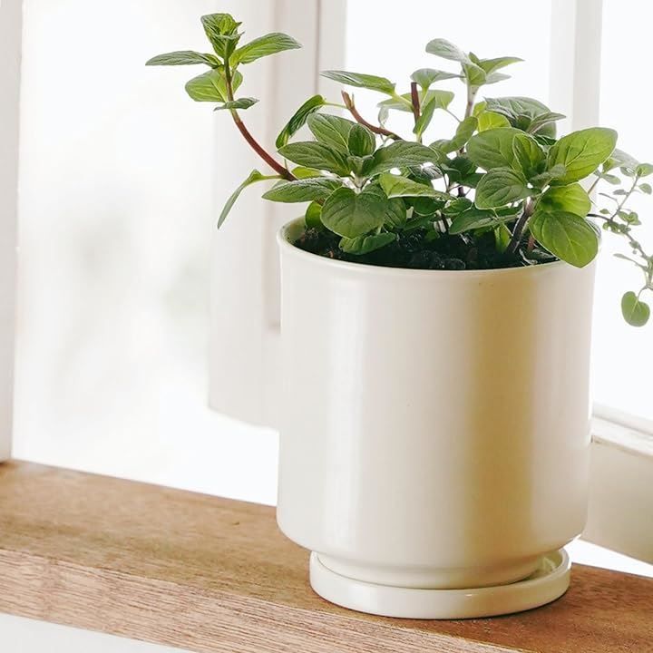 園芸用品 Leaf88 日本製 植木鉢 受け皿付 10.5x11.5cm 3.5号 波佐見焼