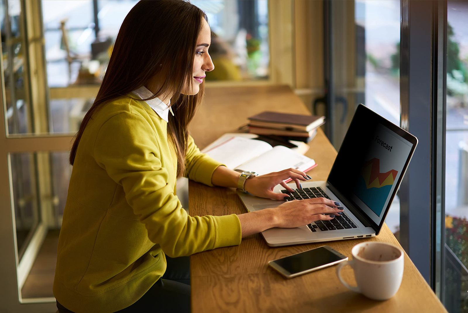 3 M ブライトスクリーンプライバシーフィルター 14インチノートパソコン用 16 10