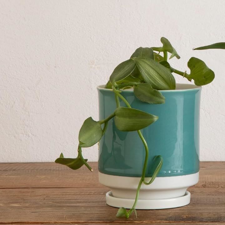 DT SWISS 240 ハブ 前後セット 6穴 28H 完全車外し品（新品）