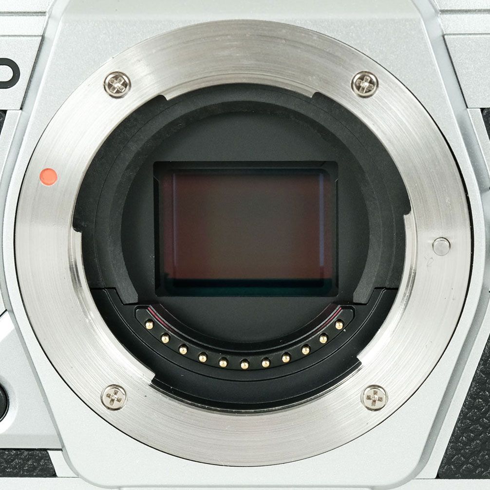 シルバー ミラーレス一眼カメラ