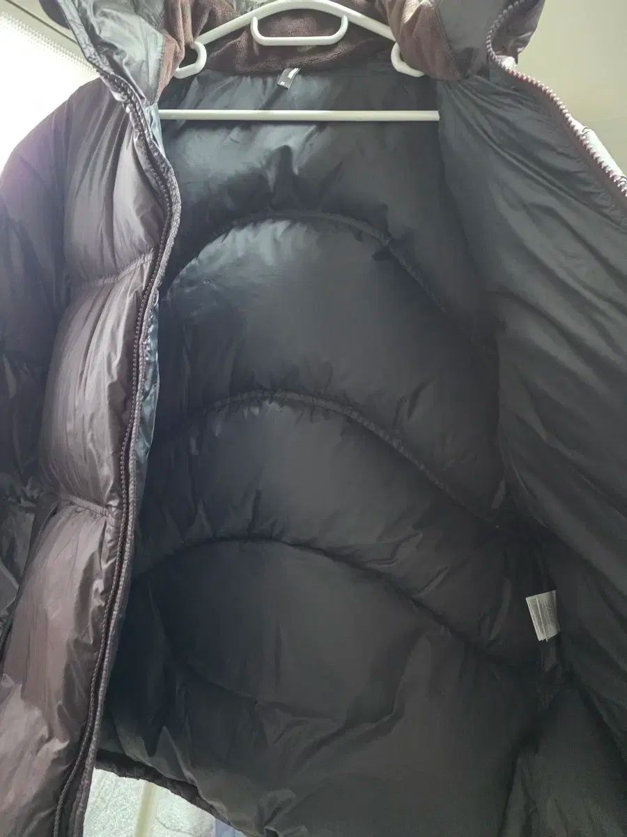 ジャケット チョコレート