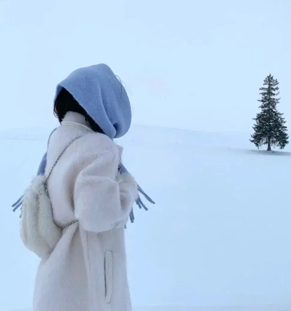 ザ バーネット アイボリー ファー バックパック コンディション