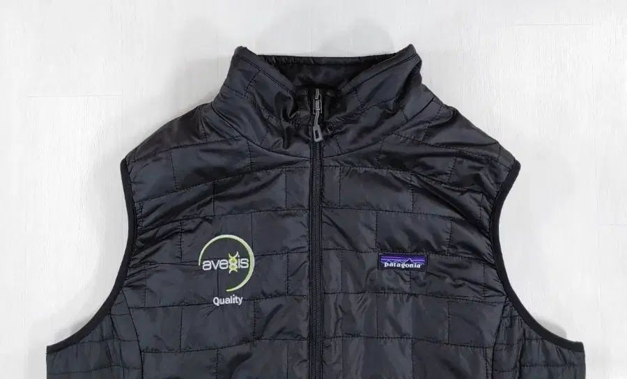 patagonia パタゴニア ウィメンズ ナノパフ BEST ベスト XL