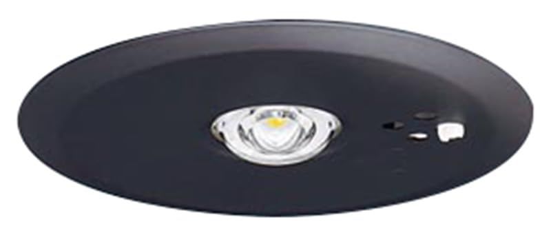 パナソニック Panasonic 天井埋込型 LED 昼白色 非常用照明器具 30分間タイプ 低天井用 ～3 m 自己点検スイッチ付 リモコン自己点検機能付 埋込穴 φ100