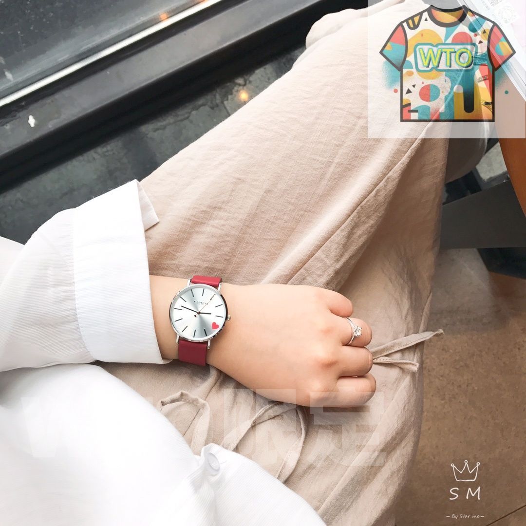  今日 COACH PERRY 系列 レディース ファッション ネットバンド 石英 腕時計-WTO店名をご ください 自動巻き時計 腕時計(アナログ)