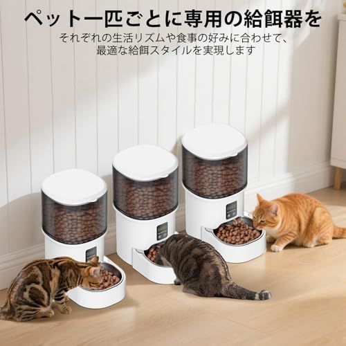 定時定量 1日6食