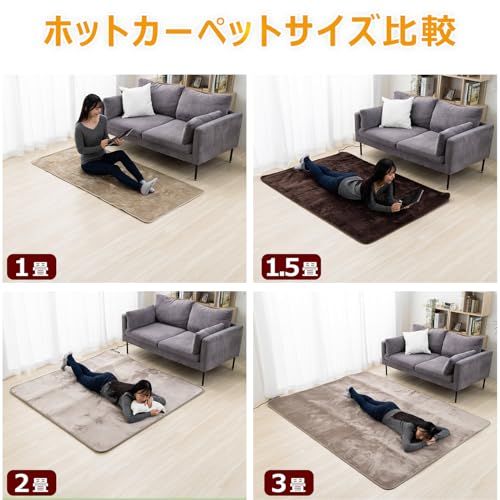 フリーダン ホットカーペット 1.5畳 長方形 176×128cm 省エネ ダニ退治機能 折り畳み 温度調整可 コンパクト収納 電気カーペット 小スペース向け FRU151H フリーダム 9154b29c WWW_OPDRERGINERDOGAN_COM