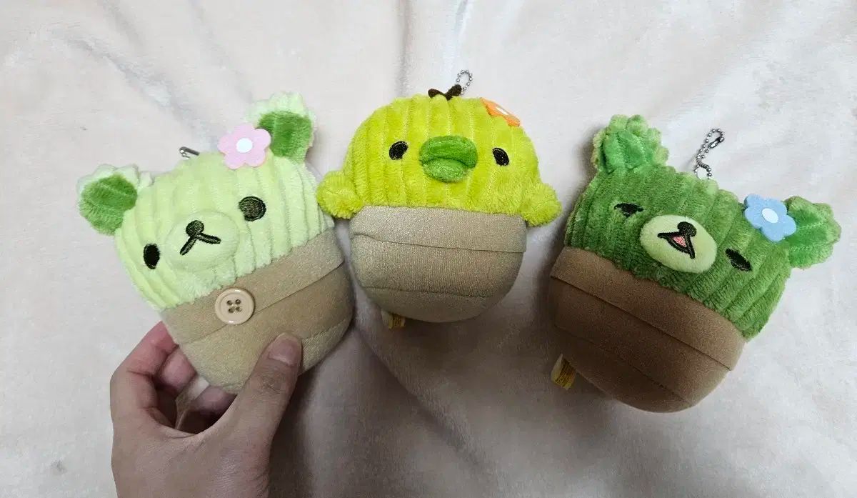 まとめセット 선인장 リラックマ コリラックマ キーイロイトリ