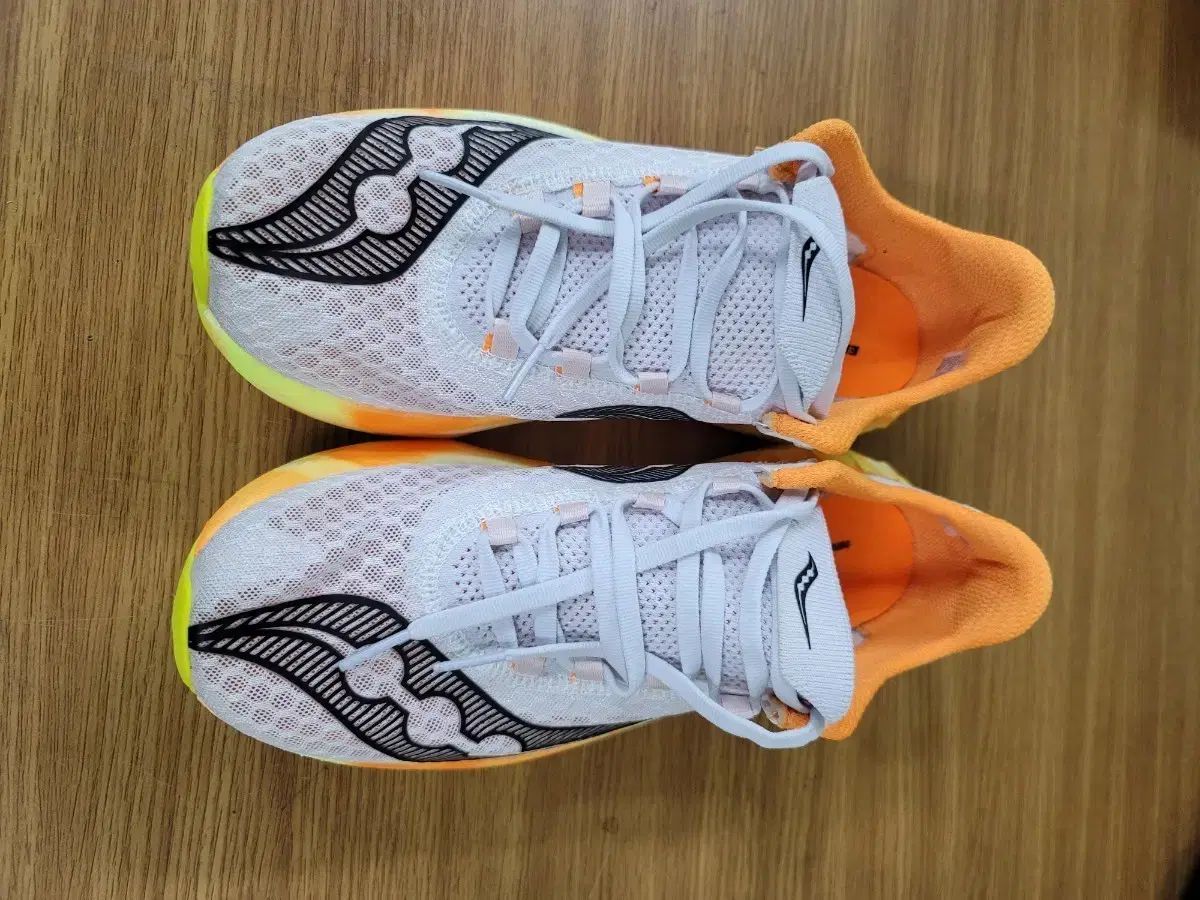 サッカニーエンドルフィン プロ4 260