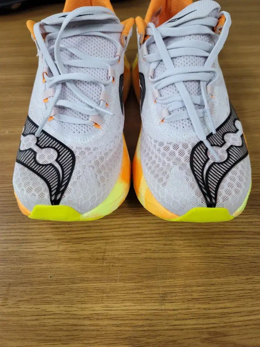 サッカニーエンドルフィン プロ4 260