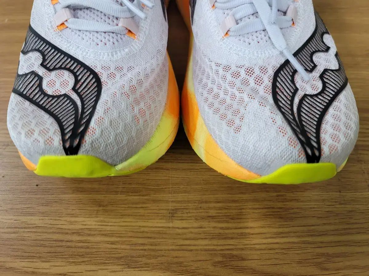 サッカニーエンドルフィン