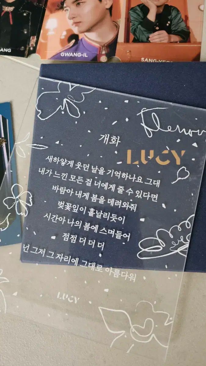 LUCY ルシ DEAR パッケージ トレカ なし