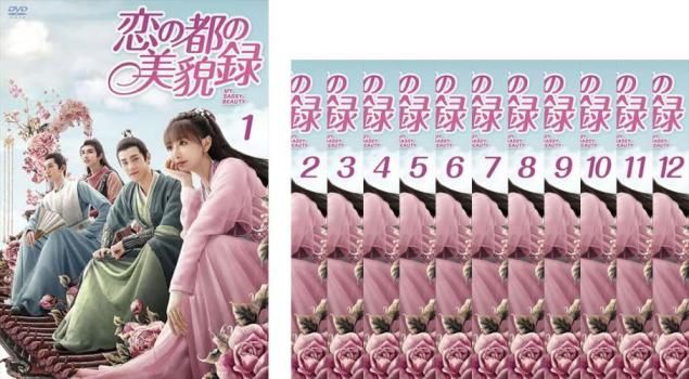 恋の都の美貌録 12枚セット 第1話～第24話 字幕 全巻セット 洋画 DVD ケース無 レンタル落ち