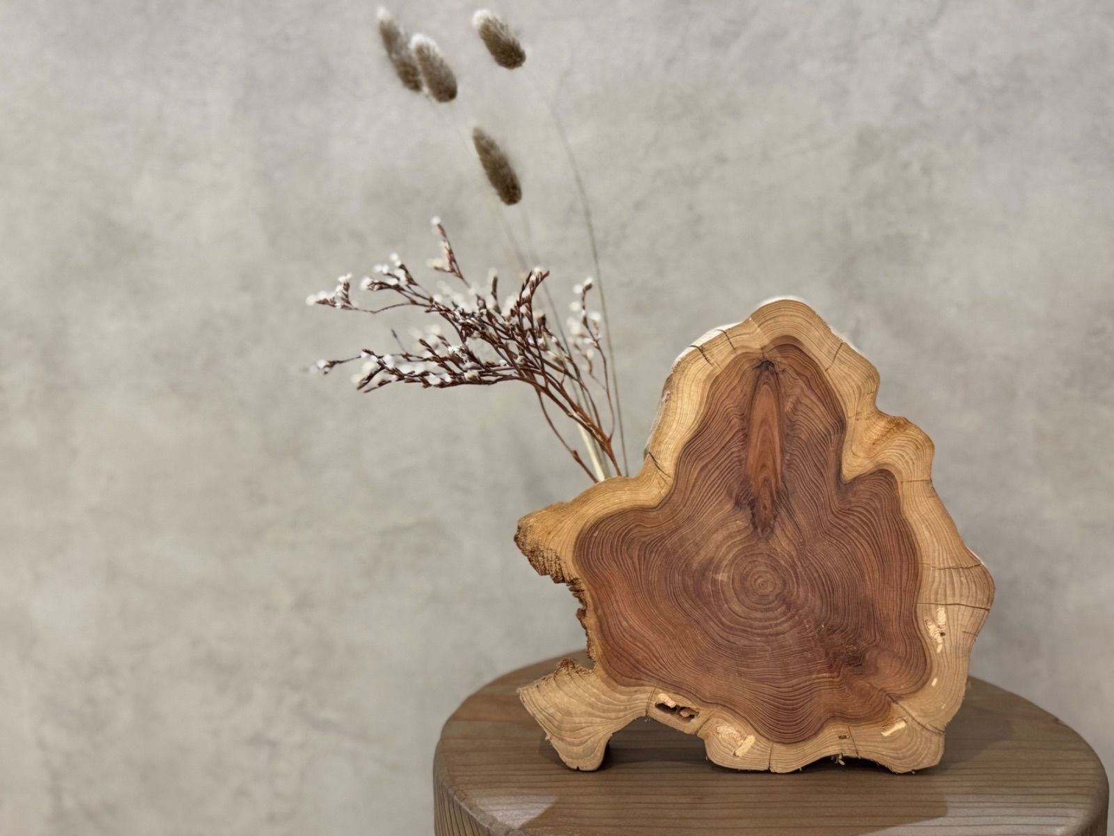 かいづかいぶきの切り株フラワーベース（ドライフラワー付き）