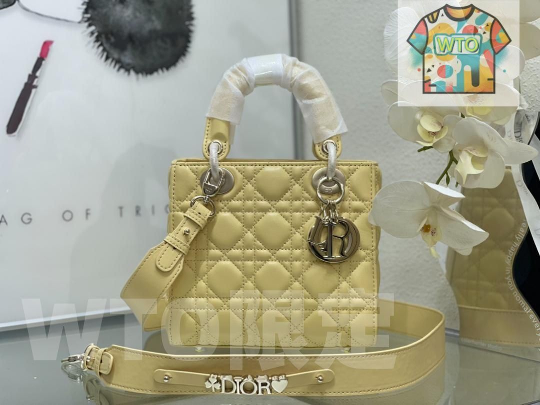 DIOR ディオール ショルダーバッグ WTO輸入2
