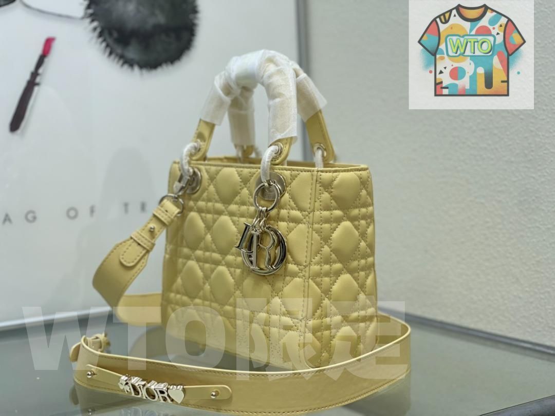 DIOR ディオール ショルダーバッグ-WTO輸入2