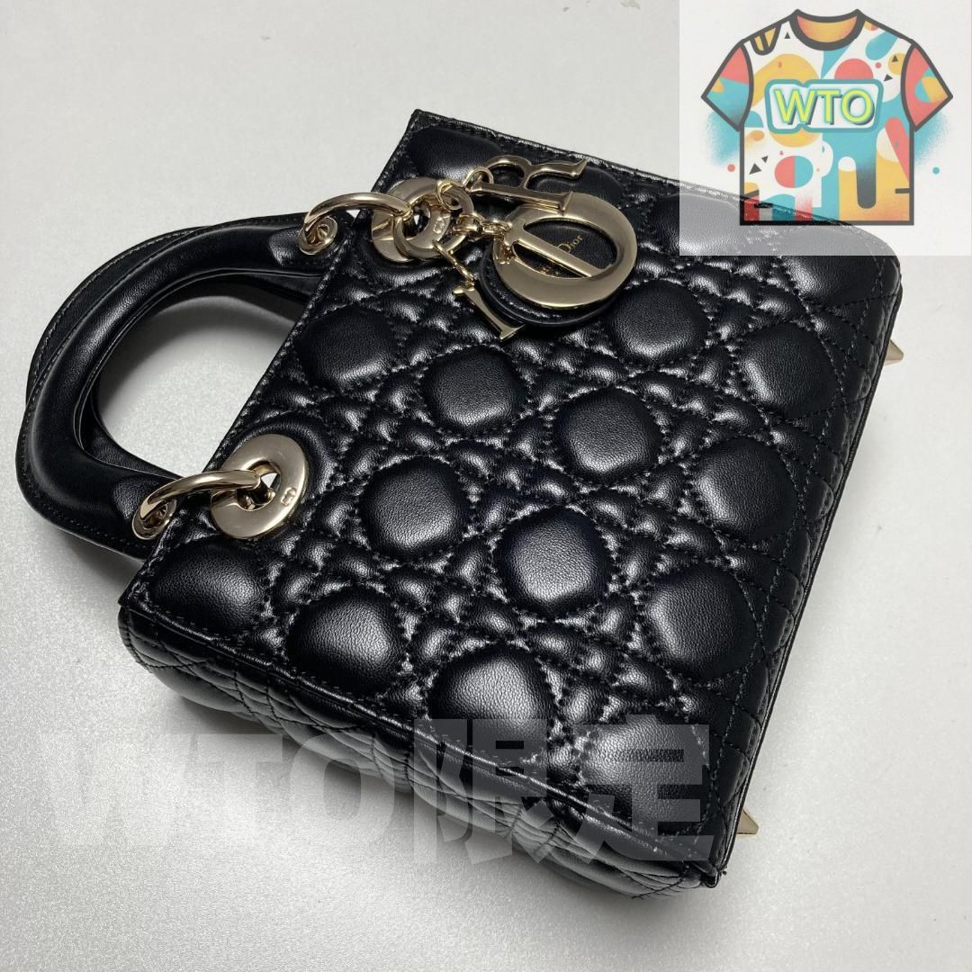 Dior レディディオール