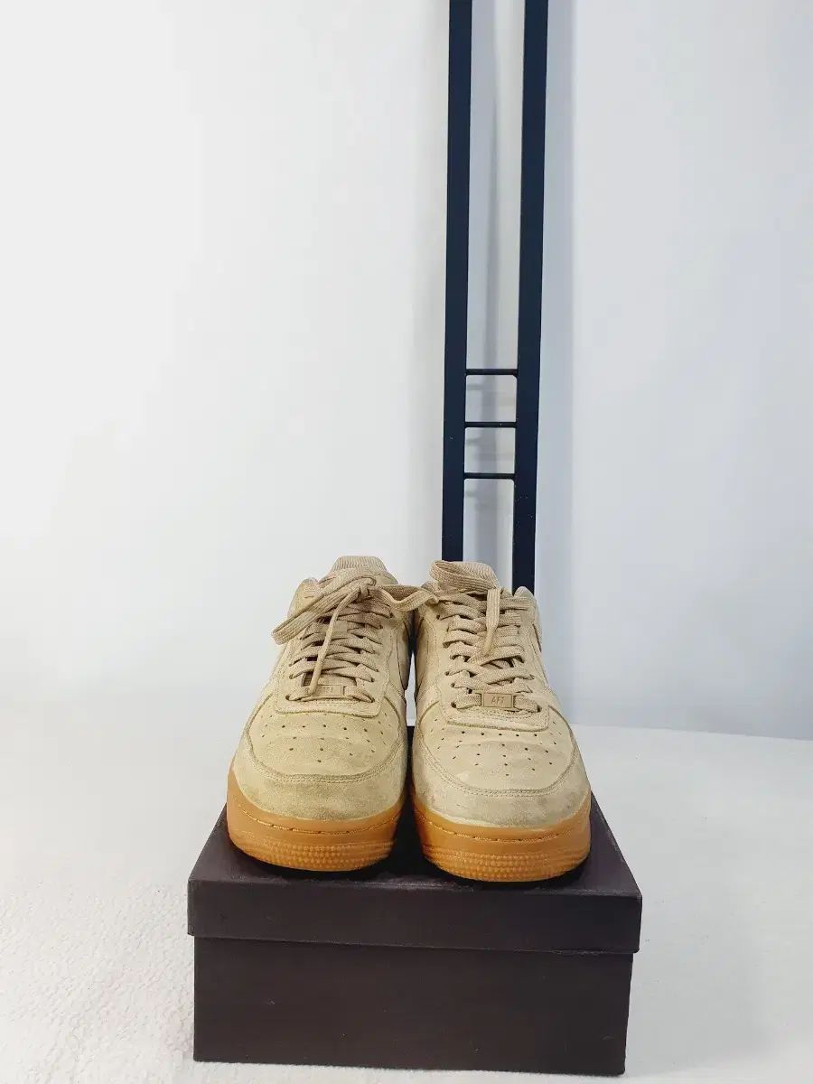 スウェード マッシュルーム