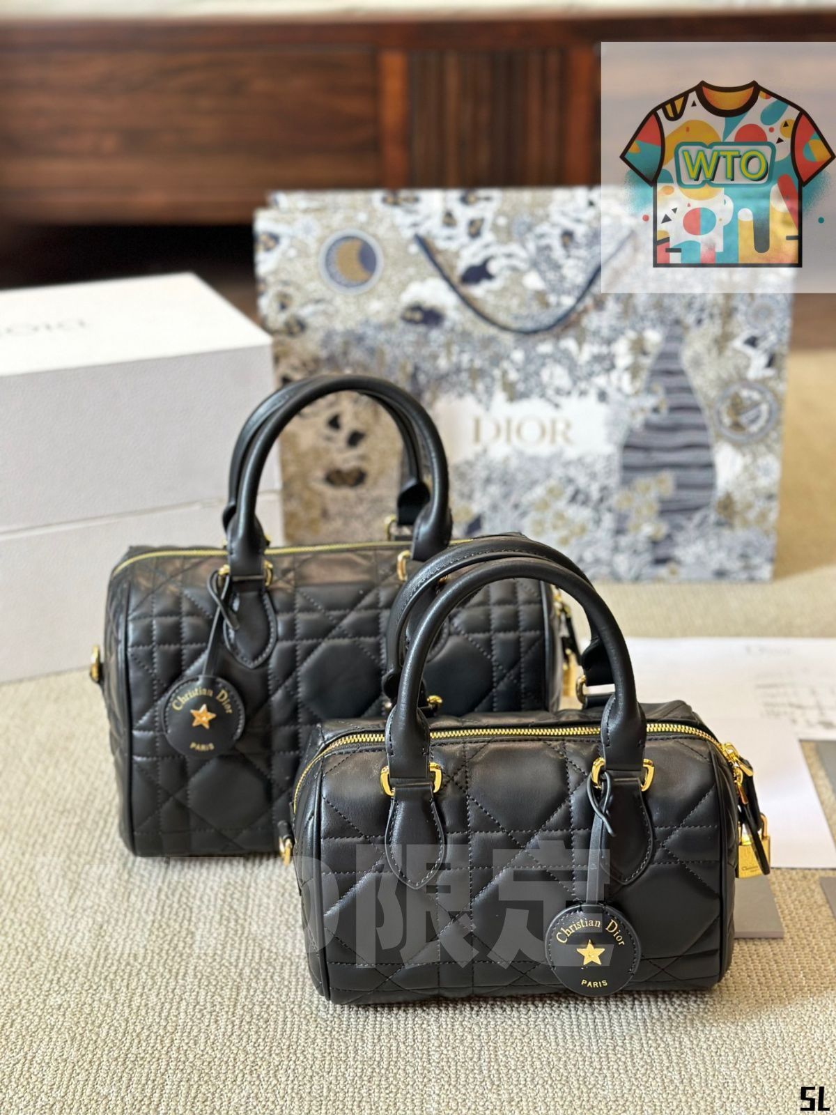 Dior枕バッグ ハンドバッグ リュック 小銭入れ 手首バッグ ショルダーバッグ -WTO輸入-OAA58