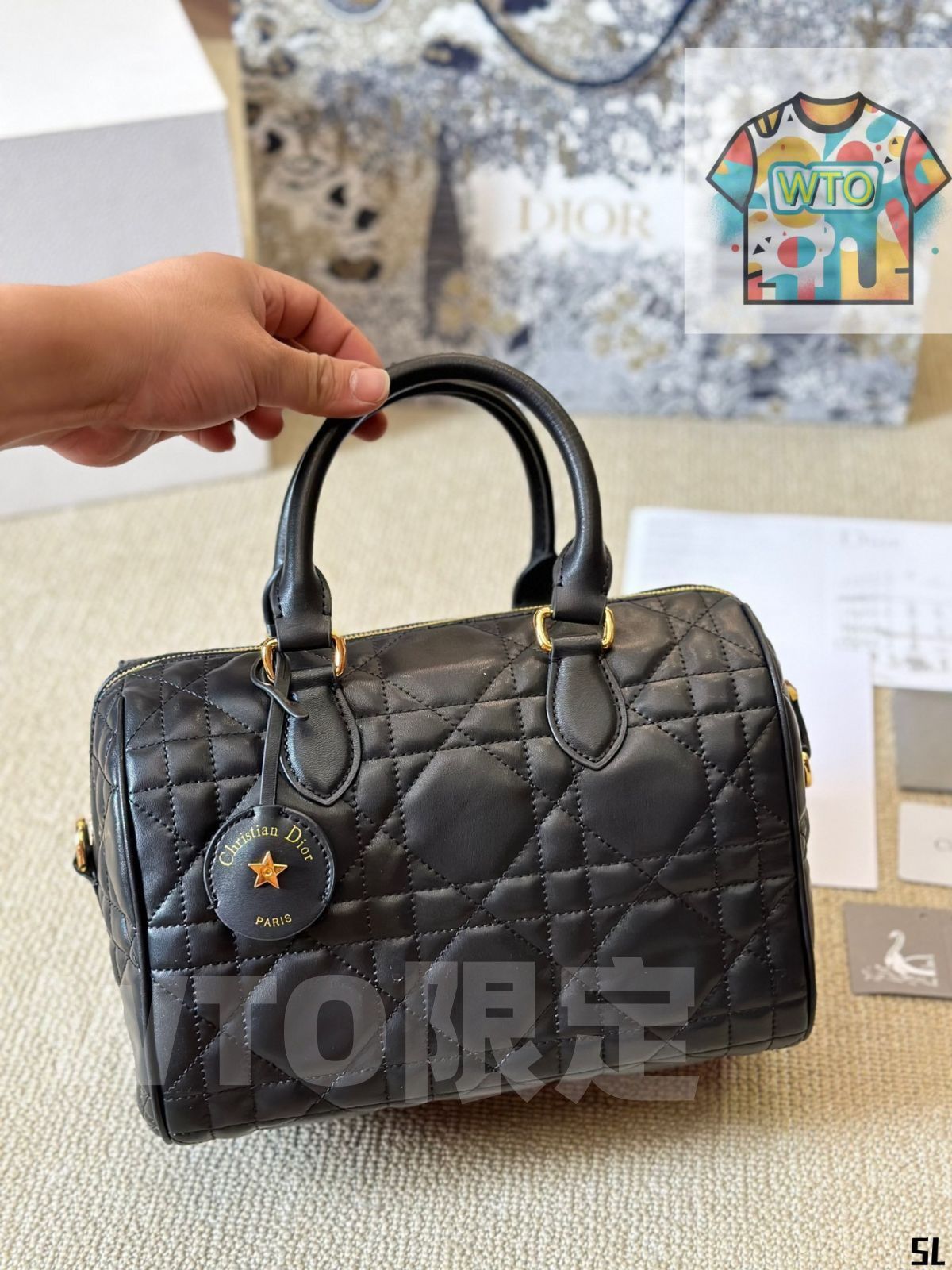 Dior枕バッグ ハンドバッグ