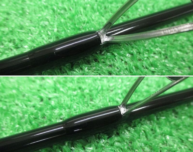 ブラックライオン