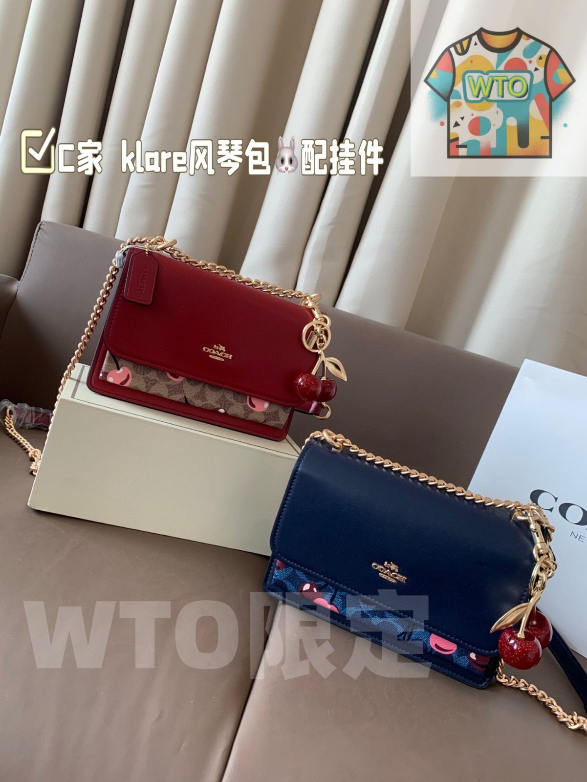 COACH ク ファンゴンバッグ 2025早春 21 15 cm WTO輸入 AXW 84