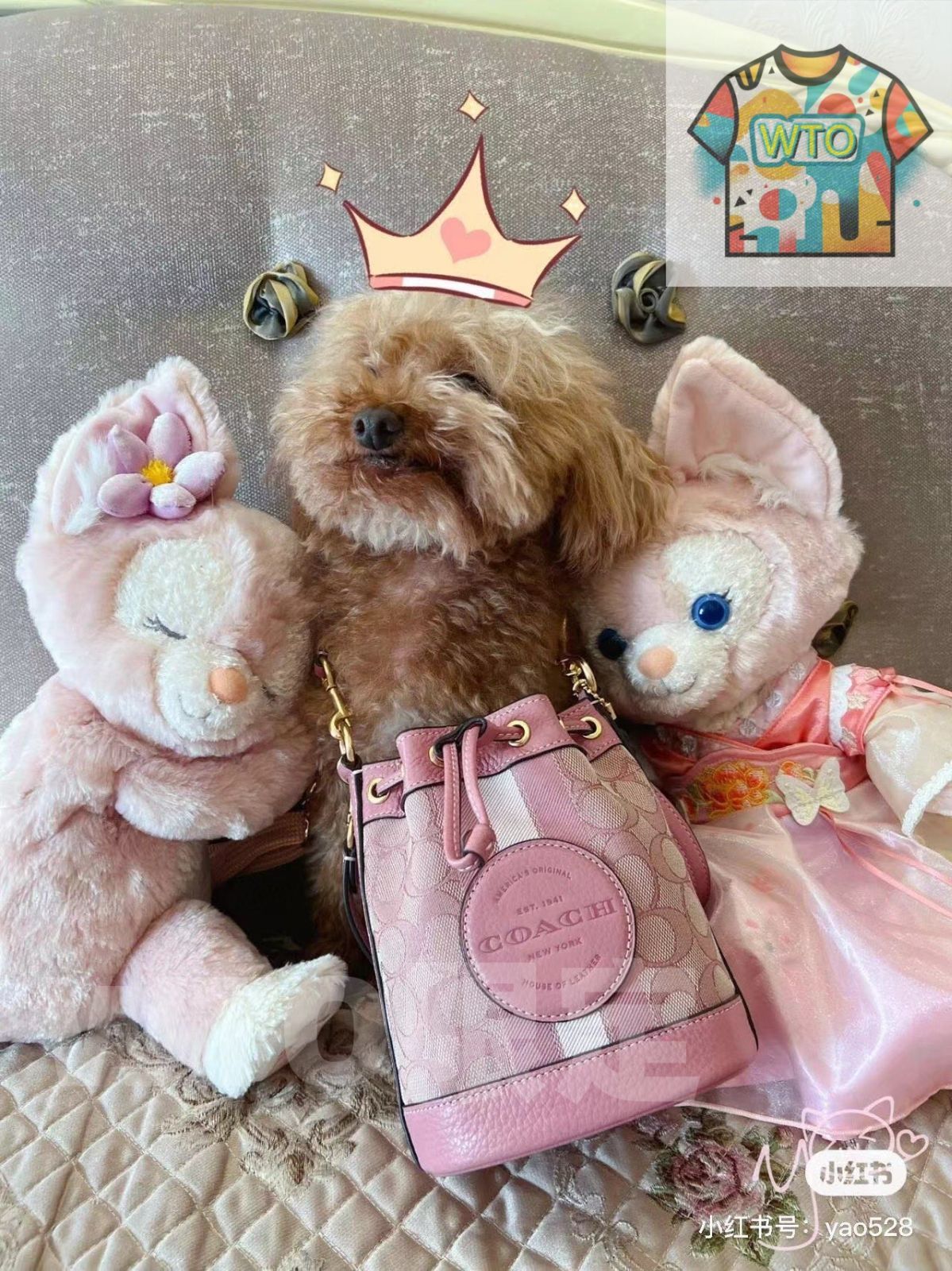  COACH デンプシー ミニバケットバッグ . -WTO輸入-NOW 13 ハンドバッグ バッグ