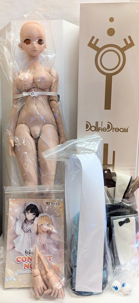 ボークス ドルフィードリームダイナマイト DDdy D COORD DC-H-16ヘッド タン肌