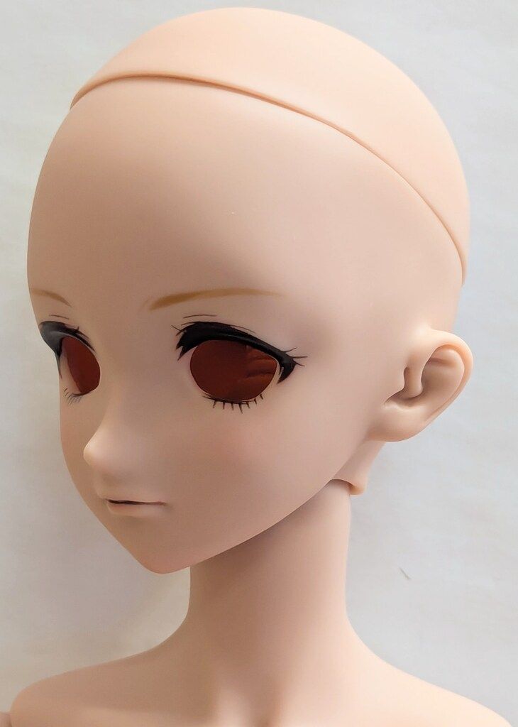 ボークス ドルフィードリームダイナマイト DDdy D COORD DC H 16ヘッド タン肌 イベントドール 球体関節フィギュア