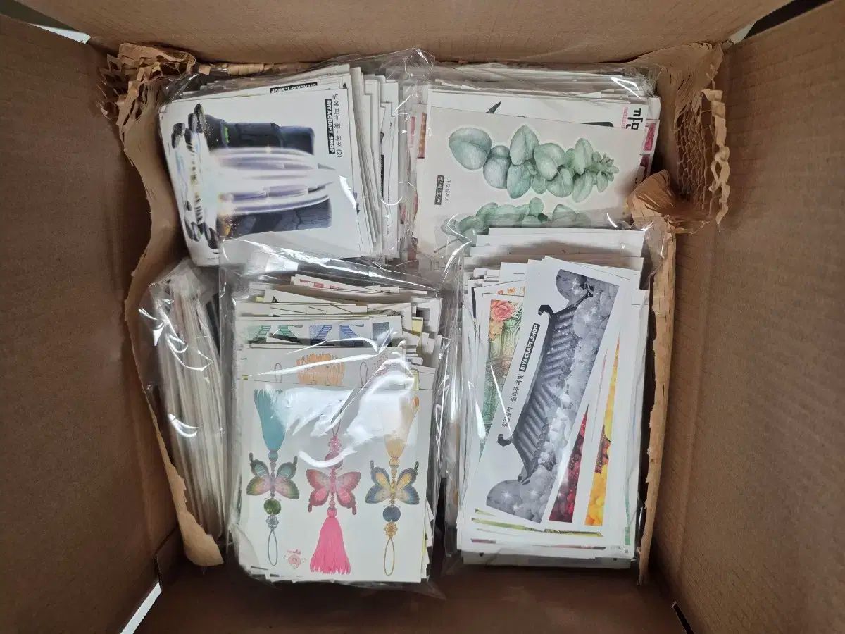 超超超 ビヤクラフト アリソール トゥンイランド ボックス