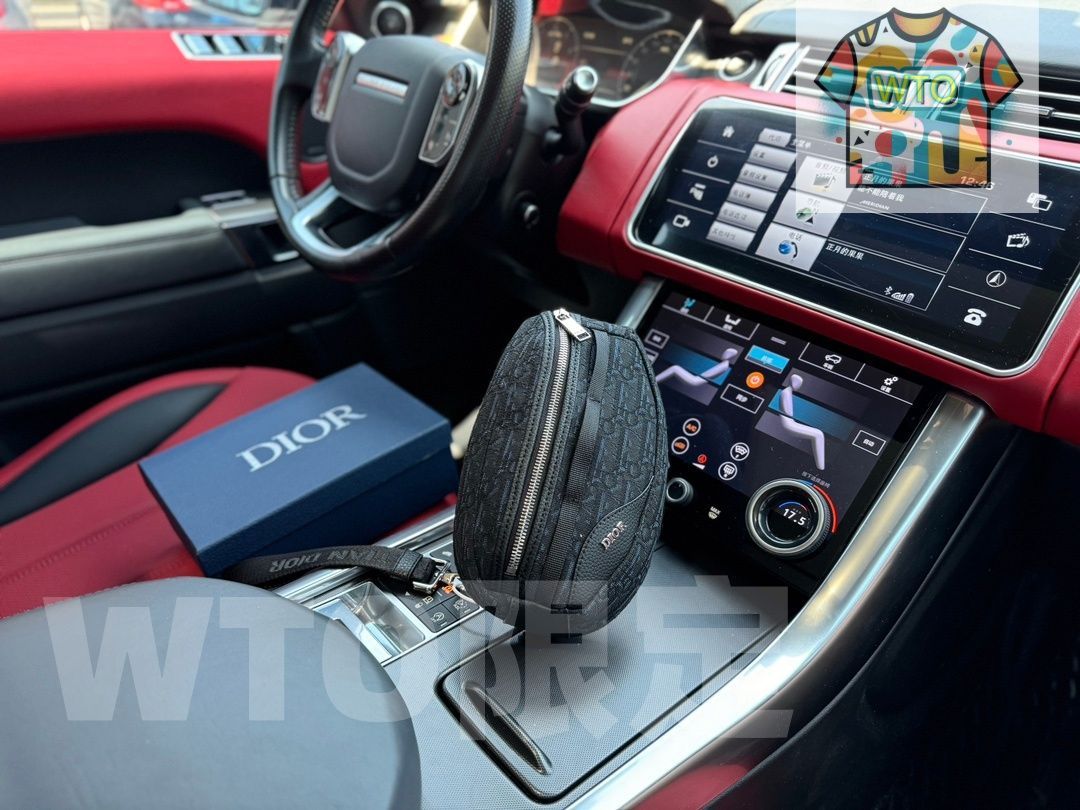 今日 DIOR Scarab オブリークプリントショルダーバッグ で今の在庫は な価格です -WTO輸入1