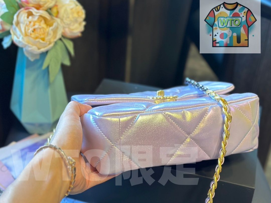 ストレッチ 今日 Chanel 19 ミニ ラムスキン 見事なパールグラデーション 在庫 の な価格です 無限の可能性