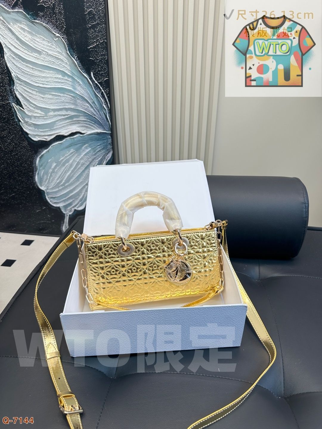 Dior のレーザー Lady Life バッグ DiorLady