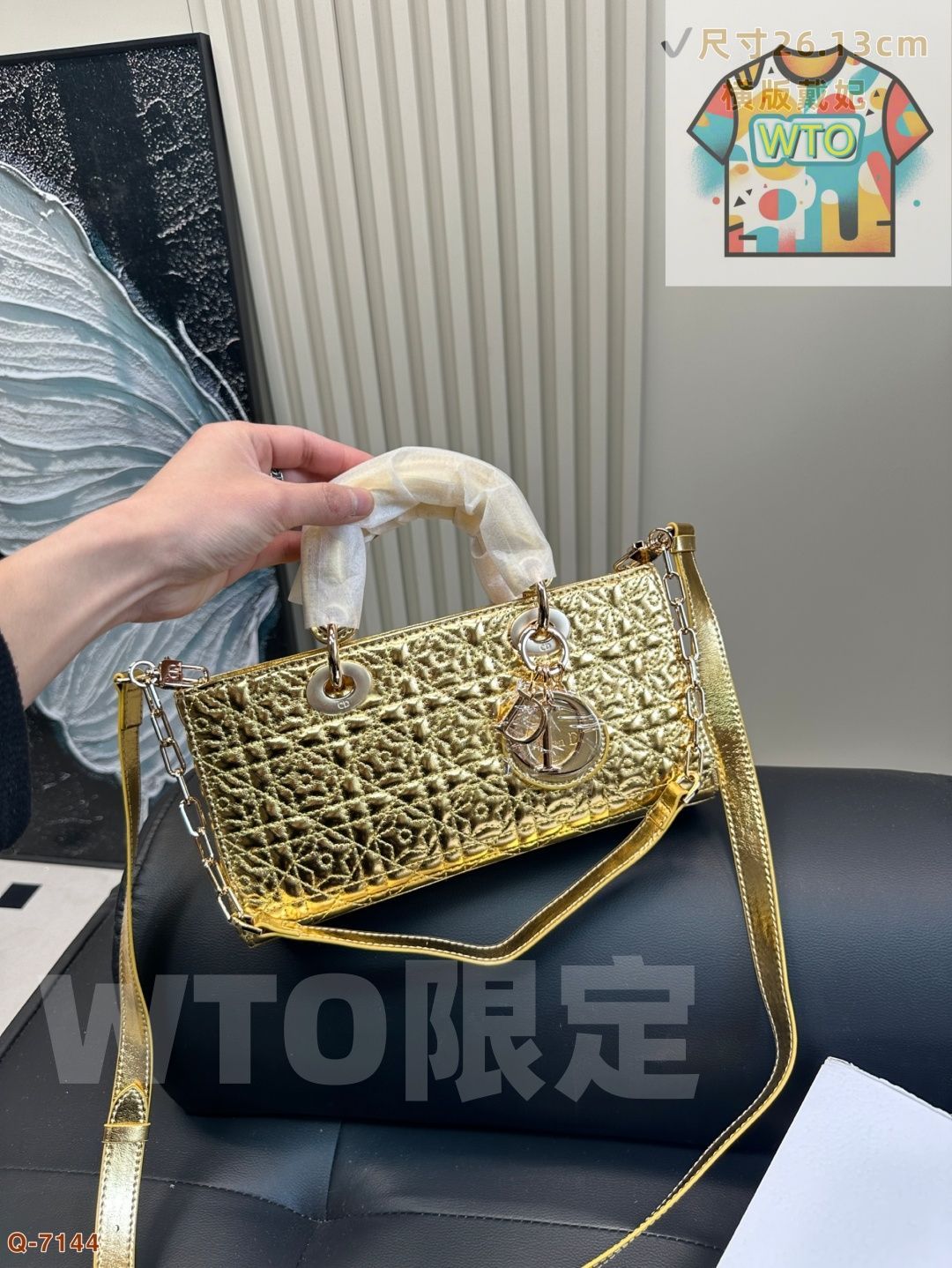 Dior のレーザー Lady-Life バッグ DiorLady-Life