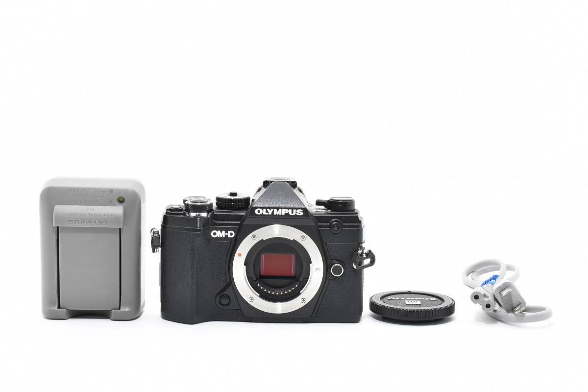 ショット数7916回 オリンパス OLYMPUS OM-D E-M5 Mark III ブラック ボディ バッテリー2個付き T58＃4835