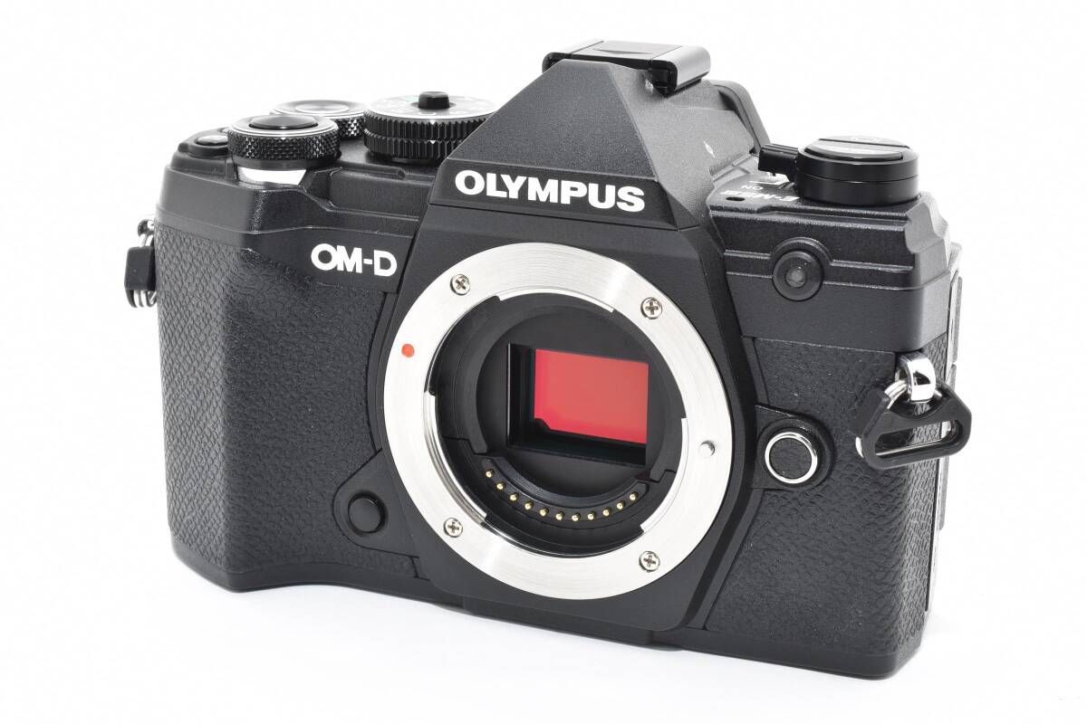 ショット数7916回 オリンパス OLYMPUS OM-D E-M5 Mark III ブラック ボディ バッテリー2個付き T58#4835