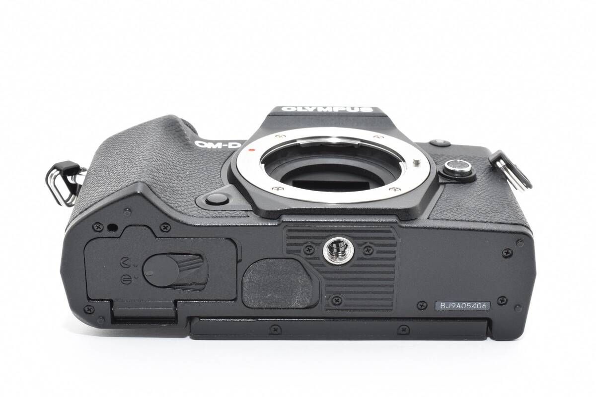 ブラック ボディ