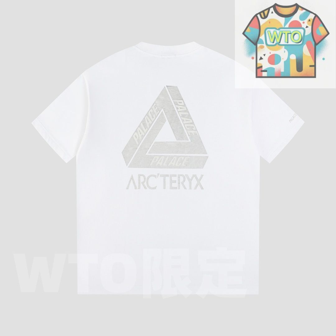Ayc Teryx PALACE コラボ メタリックシルバープリントTシャツ