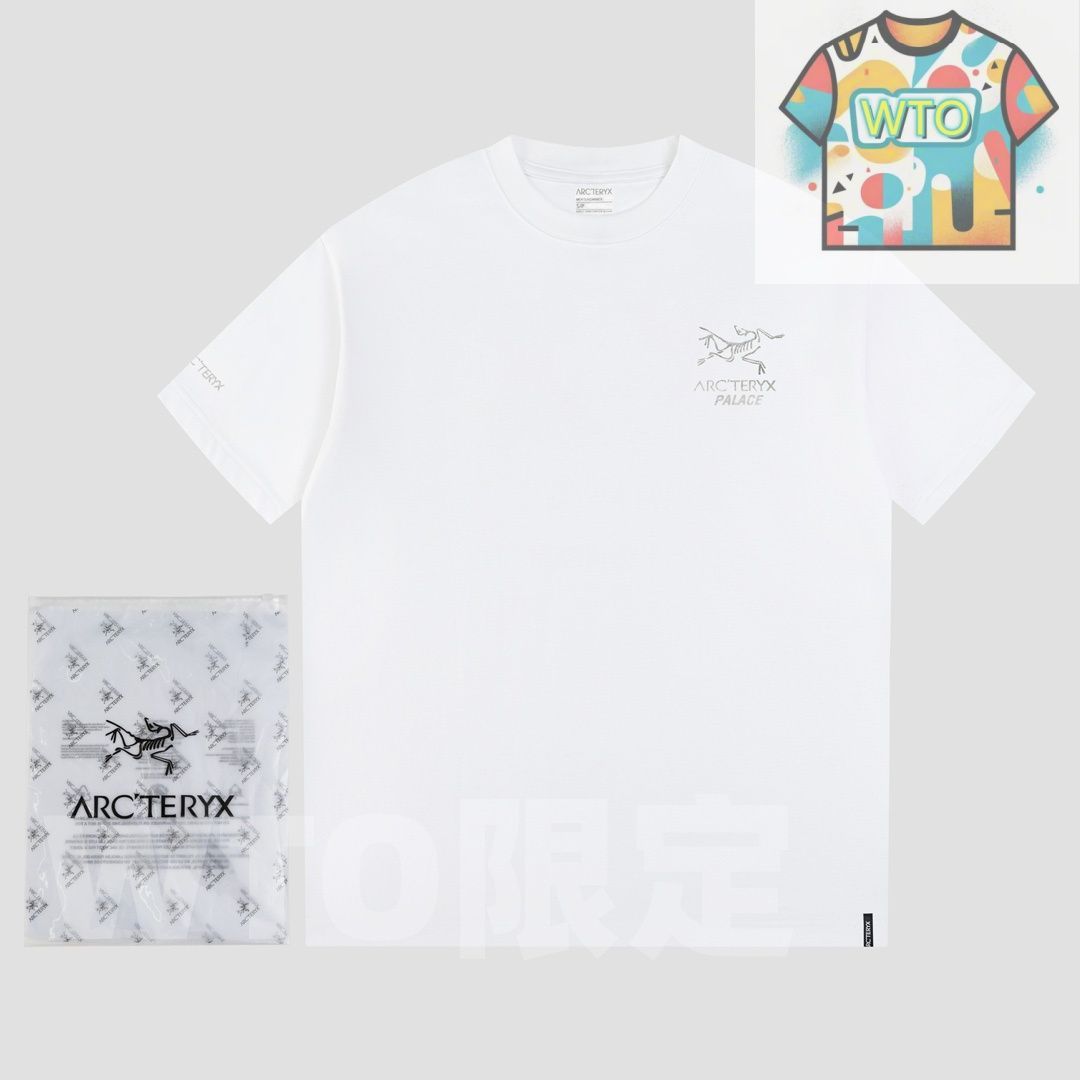 Ayc Teryx × PALACE コラボ メタリックシルバープリントTシャツ