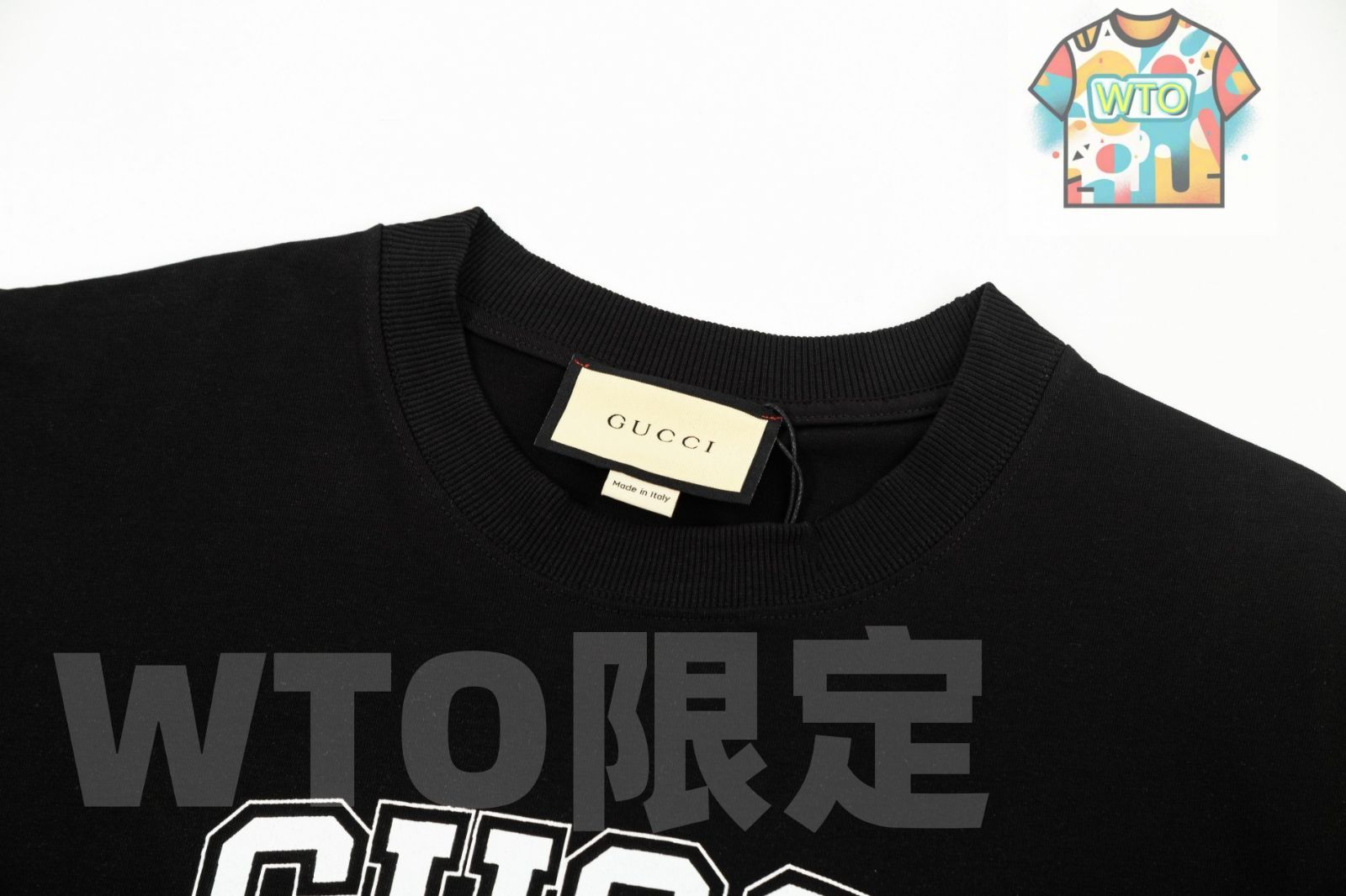 スクールエンブレムプリントTシャツ 展開