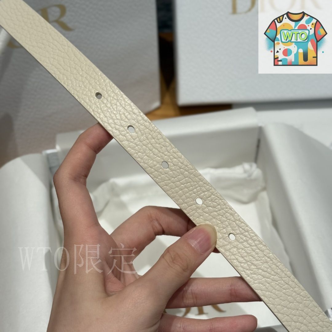 ディオール サドル