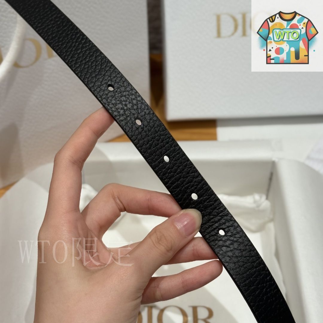 ディオール サドル