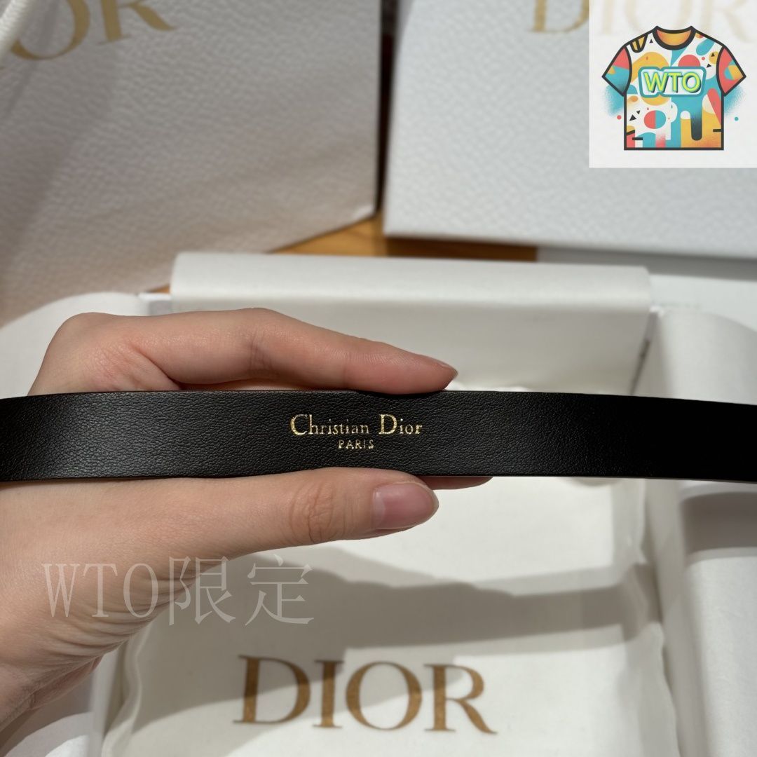 ディオール サドル