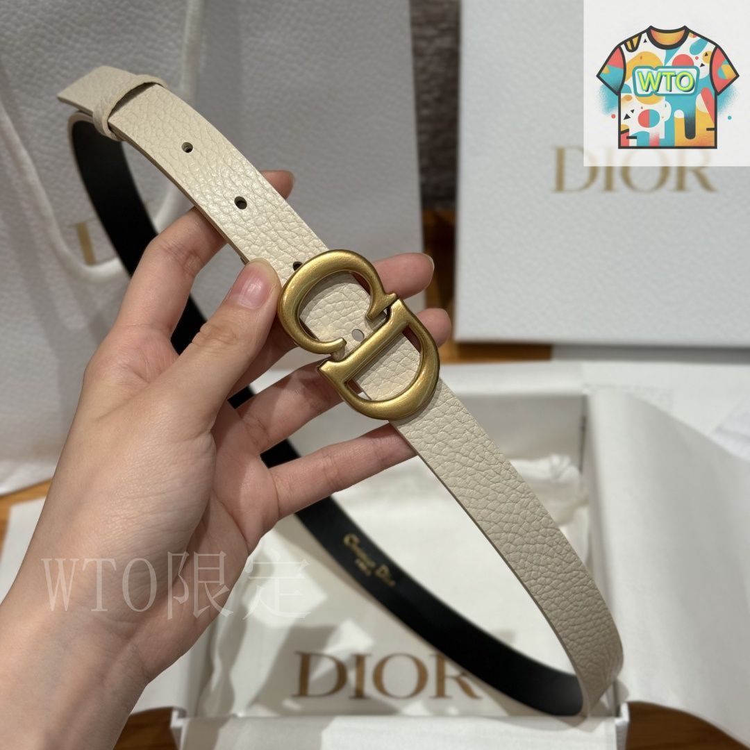 ディオール サドル