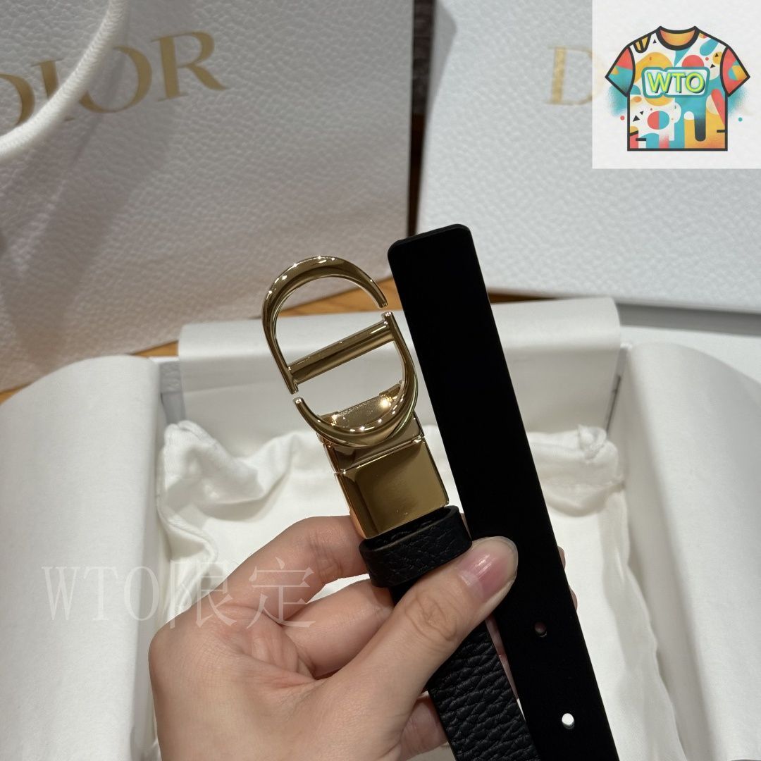 ディオール サドル